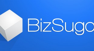 The Ultimate Guide to BizSugar, Social Media for Small Business